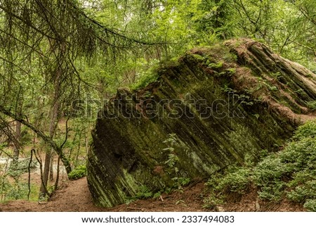 forest rock formations in nature park, summertime