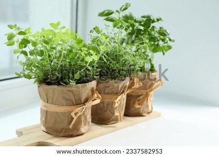 Different fresh potted herbs on windowsill indoors Royalty-Free Stock Photo #2337582953