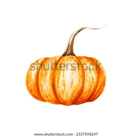 Watercolor autumn orange pumpkin. Farm ripe vegetable isolated on white background. For designers, decoration, shop, menu, for postcards, wrapping paper, covers. For posters and textile.