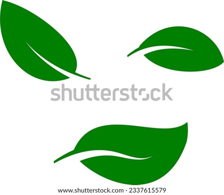 Eco green leaf logo vector flat icon  leaf isolated shape on white background, tree design concept.