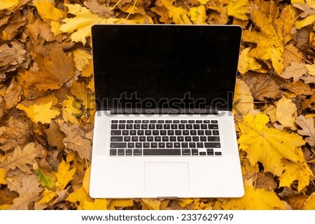 Notebook on autumn background with orange maple leaves