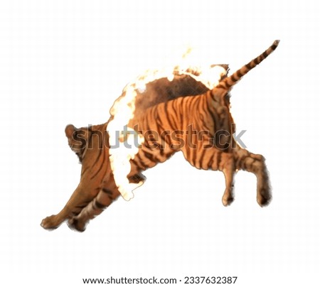 a photography of a tiger leaping in the air with fire coming out of its mouth, there is a tiger that is jumping in the air with fire.