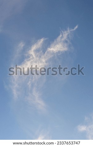 A serene sky: white clouds overlooking a blue and sunny environment. Background and textures concept