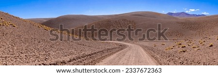 Crossing the Andes from Antofagasta de la Sierra to Antofalla - stunning landscape in the Argentinian highlands called Puna in South America - Panorama Royalty-Free Stock Photo #2337672363