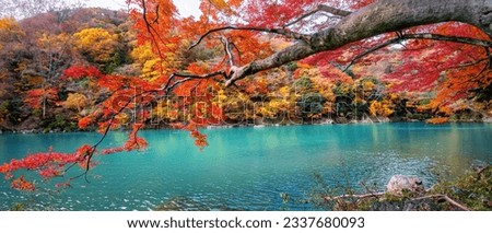 Wallpaper of Boatman punting the boat at river. Arashiyama in autumn season along the river in Kyoto, Japan, 21:9