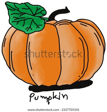 pumpkin doodle drawing, line draw of fruit and food