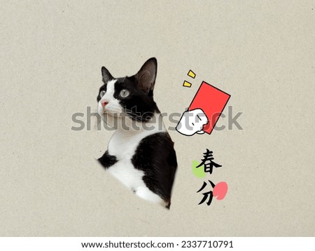 Three-dimensional image of a Chinese character, lucky cat