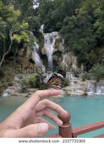 Butterfly caught on the finger, Kuang Si waterfall Luang Prabang Laos.