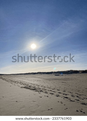 beach water sun sky blue waves prints in sand