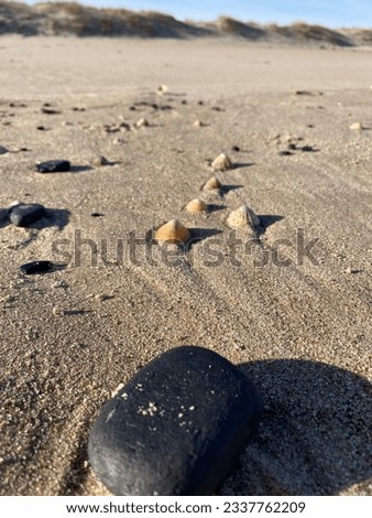 beach big coal shells coast