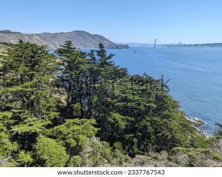 Monterey Cypress Trees at Marin Headlands in the Golden Gate National Recreation Area, California Royalty-Free Stock Photo #2337767543