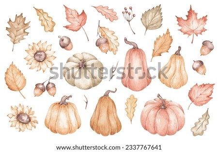 Watercolor illustration. Hand painted. Isolated on white. Fall clipart with pumpkins, acorns, sunflowers and autumn leaves. For Halloween, Thanksgiving, harvest festivals
