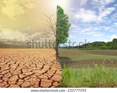 creative concept image compare of global warming.  Royalty-Free Stock Photo #233777593
