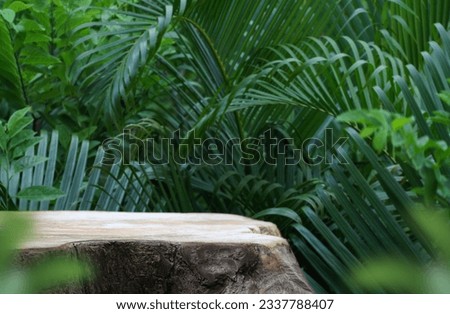 Wood tabletop counter podium floor in outdoors tropical garden forest blurred green palm leaf plant nature background.Natural product placement pedestal stand display,summer jungle paradise concept.

