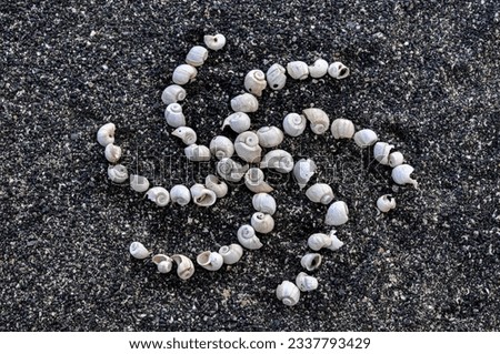 Abstract picture made from little white shells on the black volcanic sand. Background.