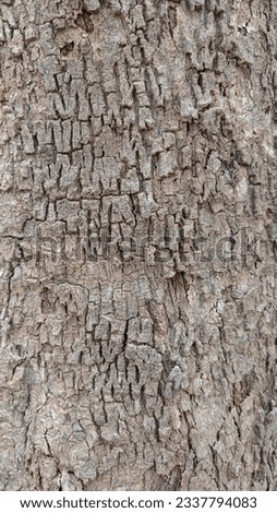 Dry texture of the brown bark of a tree. vertical photo of a tree bark texture. Relief creative texture of an old Indian gooseberry bark. Wooden bark Spring design with pine forest and empty display

