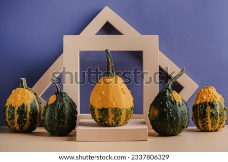 Different types of decorative pumpkins on the geometrical podium. Organic concept. Modern aesthetic. mockup with copy space. Natural tones.