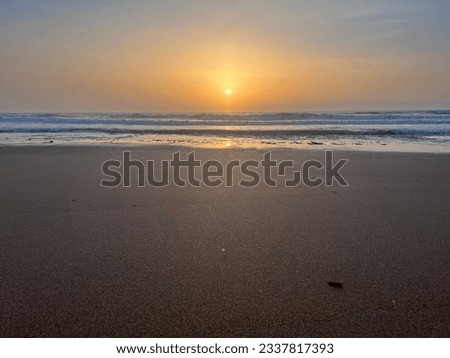 Sunset at sea with birds flying. Panoramic beach landscape.