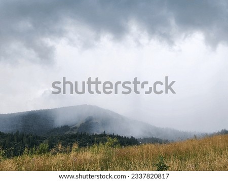 Against the backdrop of majestic mountains, a curtain of summer rain descends from lead clouds. Soft silvery droplets gracefully fall from the dark sky, creating an artistic picture.