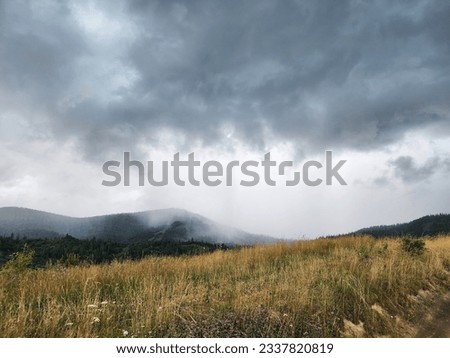 Against the backdrop of majestic mountains, a curtain of summer rain descends from lead clouds. Soft silvery droplets gracefully fall from the dark sky, creating an artistic picture.