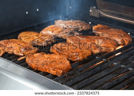 Marinated meat roasting on the barbecue grill for a delicious dinner at a garden party, selected focus, narrow depth of field