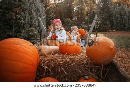 Happy children at pumpkin farm during Halloween, little girl in and baby boy having fun together in sunny day