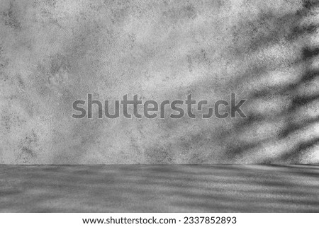 Shadows and light on a gray concrete background. Minimalistic mockup.