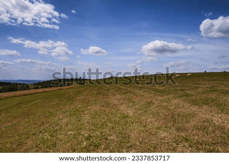 Summer landscape  in Czech mountains