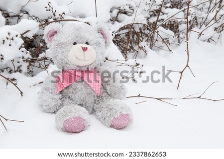Gray teddy bear with a bow around his neck on white snow