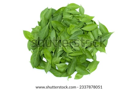 Fresh Henna or Lawsonia inermis leaves on white background top view 