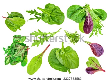 Salad leaves mix with Spinach leaf With ruccola, radicho   isolated on white background. Salad Collection  top view, flat lay. Creative layout
 Royalty-Free Stock Photo #2337883583