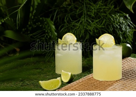 citrus summer cocktails on jungle background