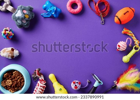 Frame of pet supplies on purple background. Flat lay, top view. Pet shop banner design.