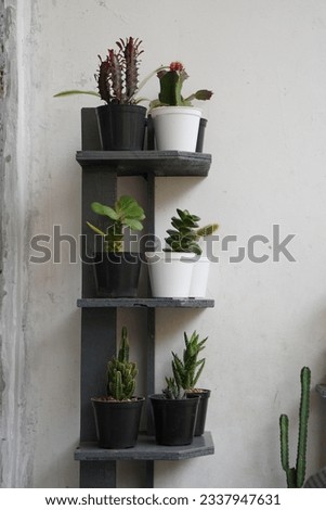 Inspiration idea of collection plants in interior or exterior of room, Let's Create a Minimalist Garden in Your Own Residence