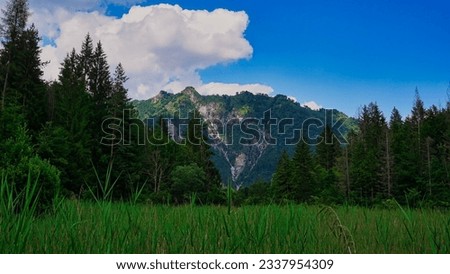 Italian Landscape: Mountain landscape in summer. Above 1000 meters asl. "Valtorta natural area". Bergamo province, Italy. Alpine meadows, forests and paths, surrounded by Prealpine and Alpine peaks