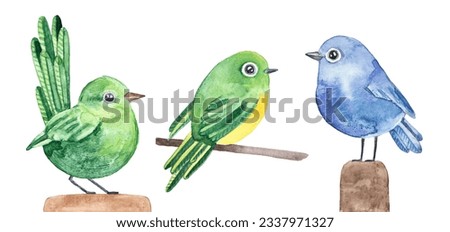 Watercolour illustration set of three various birds in green, yellow and blue purple color. Hand painted water color graphic sketch on white background, cutout clip art elements for design decoration.