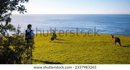 girl enjoys close encounter with eastern grey kangaroos; new south wales coast in hat head national park, australia; Royalty-Free Stock Photo #2337983265