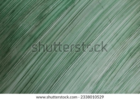 Abstract paint brush pattern surface, Messy paint splash background, Multicolor paint surface backdrop