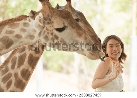 Happy young woman smiling with perfect smile feeding giraffe in zoo. Tourist girl enjoying a trip with cute giraffe and animals safari park on warm summer day in wild animals zoo park.