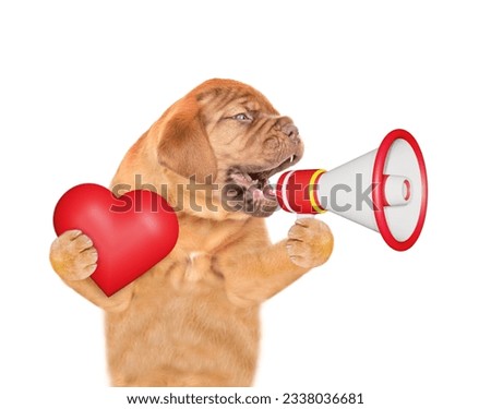 Happy Mastiff puppy holding red heart screaming into a megaphone. isolated on white background