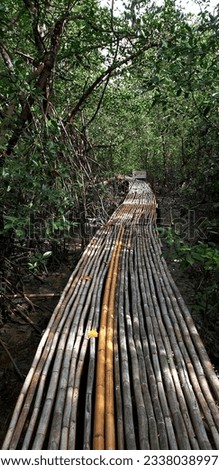 A picture of a walkway made of bamboo in a mangrove forest. The path is covered with a tunnel of tall trees that are covered with the colors and brilliance of nature. But there are "Do not enter" sign