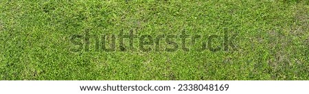 The background image of a bright green lawn has longitudinal dimensions.
