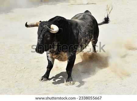 Strong bull with big horns in a traditional spectacle of bullfight in spain Royalty-Free Stock Photo #2338055667