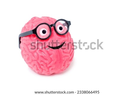 Smiling human brain buddy with googly eyes and nerdy glasses isolated on white background with copy space.