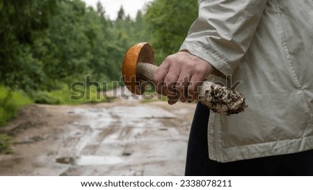 A man holds a white mushroom in his hand against the background of a road and a forest. The concept of collecting edible mushrooms. Background picture.