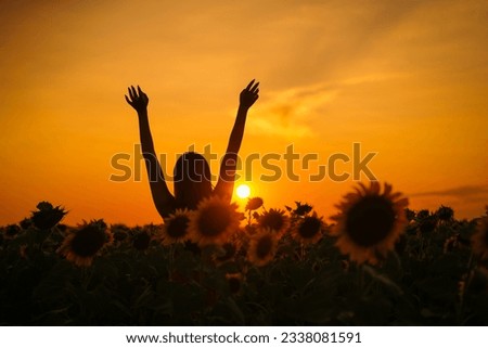 Summer sunset and a happy woman silhouette in a sunflower field during a beautiful summer sunset. Woman holding her hands in the air, standing with the back to the camera.