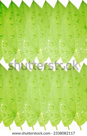 Blurred images, background images, watermarks, beautiful, colorful images.