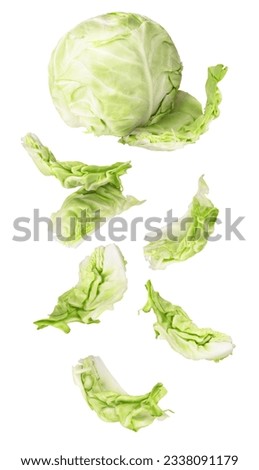 Cabbage leaves fall off a head of cabbage on a white isolated background Royalty-Free Stock Photo #2338091179
