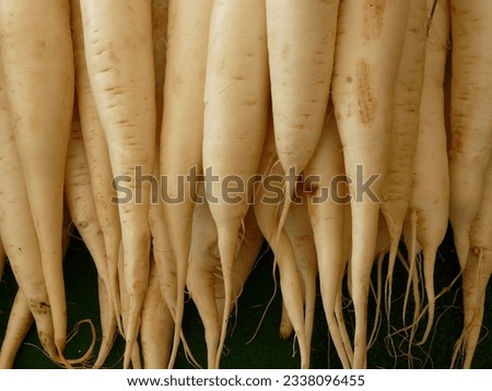 The white radish look awesome in the picture.