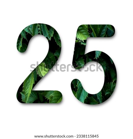 Number 25 design with green leaf texture on white background.
